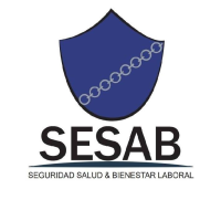 Sesab Academy